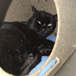 Photo for 158542 [385315]