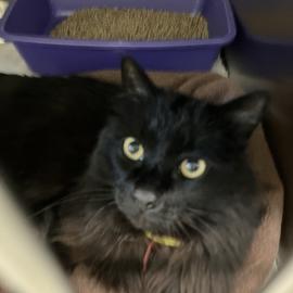 Photo for 158558 [385412]