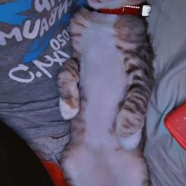 Photo for 158576 [Ashole]