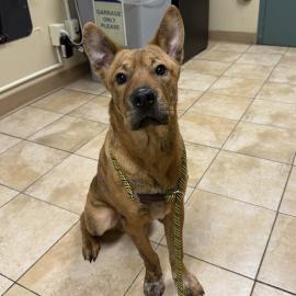 Photo for 158582 [Max]