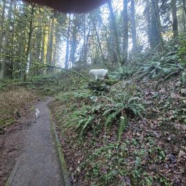 Photo for 158599 [Hero]