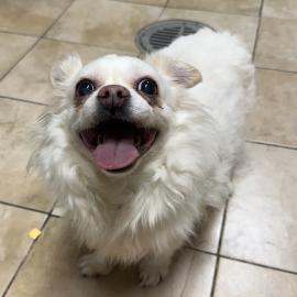 Photo for 158603 [385541]