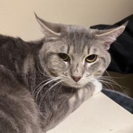 Photo for 158611 [Leonard]