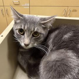 Photo for 158613 [Howard]