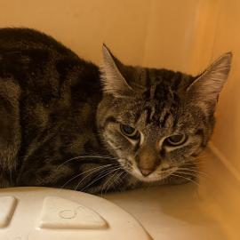 Photo for 158617 [385552]