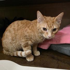 Photo for 158631 [385616]