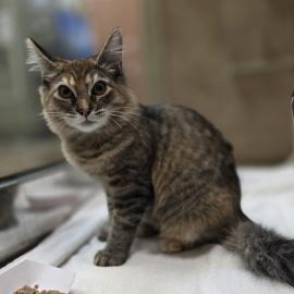 Photo for 158633 [385617]