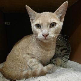 Photo for 158637 [385619]