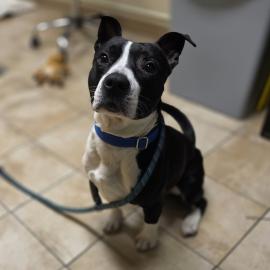 Photo for 158639 [385620]