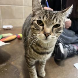 Photo for 158641 [385621]