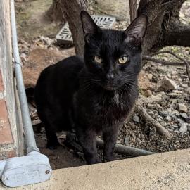 Photo for 158654 [Unknown ]