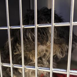 Photo for 158660 [385763]