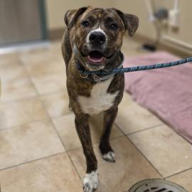 Photo for 158662 [385771]