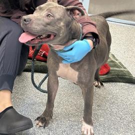 Photo for 158683 [385846]