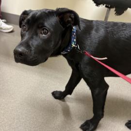 Photo for 158685 [fr158685]