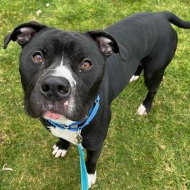 Photo for 158701 [385891]