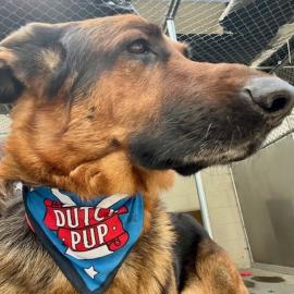 Photo for 158783 [Lucas]