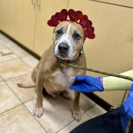 Photo for 158875 [Roswell]