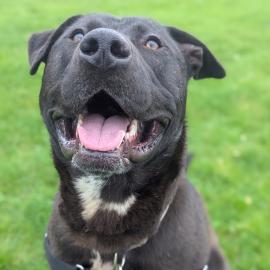 Photo for 158994 [386763]