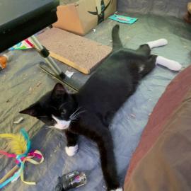 Photo for 159004 [Bumi]