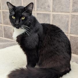 Photo for 159020 [386803]