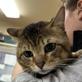 Photo for 159158 [Mooky]