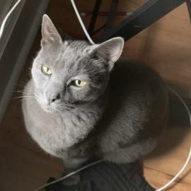 Photo for 159272 [Michael]