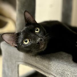 Photo for 159282 [Sid]