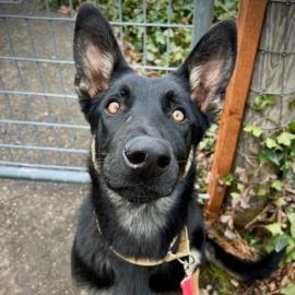 Photo for 159290 [Jerry]