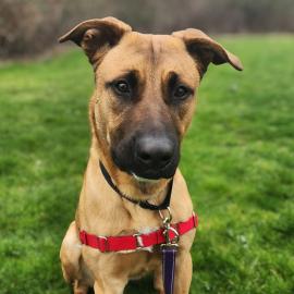 Photo for 159320 [Chance]