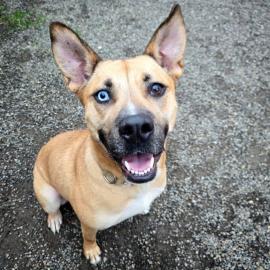 Photo for 159347 [Mimi]