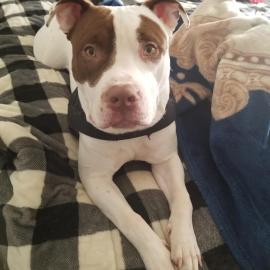 Photo for 159350 [Kilo]