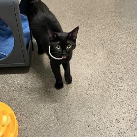 Photo for 159414 [fr159414]