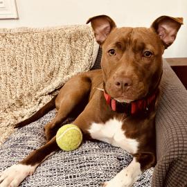 Photo for 159451 [Serena]