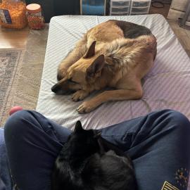 Photo for 159488 [Heidi Moon ]