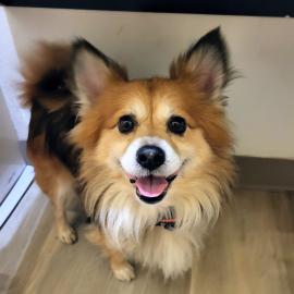 Photo for 159490 [Boeriley]