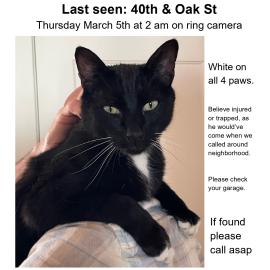 Photo for 159500 [Calvin]