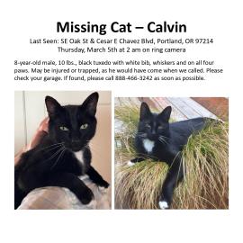 Photo for 159500 [Calvin]