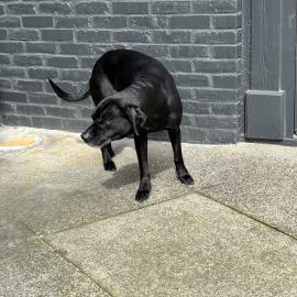 Photo for 159517 [fr159517]