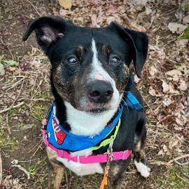 Photo for 159580 [387683]