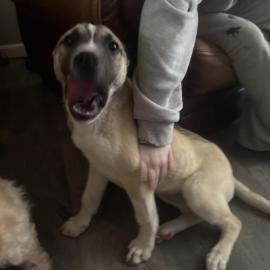 Photo for 159582 [fr159582]