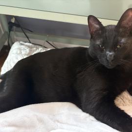 Photo for 159604 [Movhi]