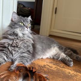 Photo for 159635 [Flora]