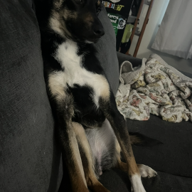 Photo for 159636 [Dreamy]