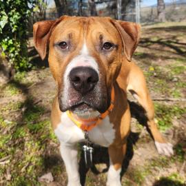 Photo for 159663 [387740]