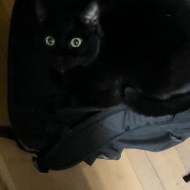 Photo for 159673 [Toast]