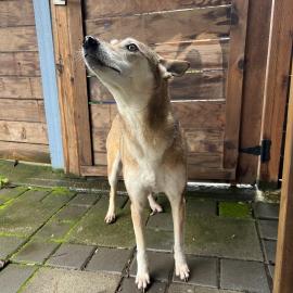 Photo for 159676 [N/A]