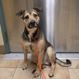 Photo for 159688 [387841]