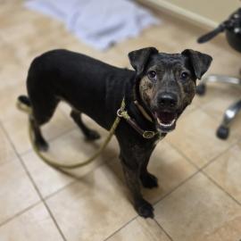 Photo for 159690 [387842]