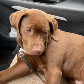 Photo for 159765 [fr159765]